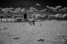 HU-Klima-IR-_MG_0479 1.jpg