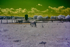 HU-Klima-IR-_MG_0479.jpg