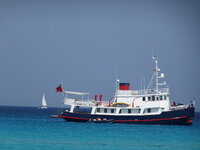 DSC05440.JPG