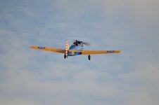DSC_9973.JPG