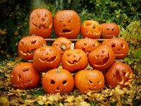 comp_Kürbisschnitzen 2013 064_ji.jpg