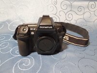 DSC03704.JPG