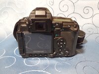 DSC03711.JPG