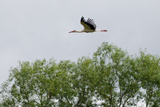 DSC_1941_DxO.jpg