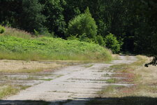 IMG_9819.JPG