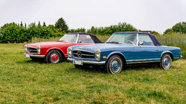 DSC04174c.jpg