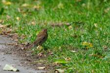 IMG-2025-07-04-0005-DXO.jpg