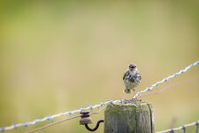 076A7096-Bearbeitet.jpg