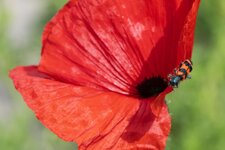 image110 web.jpg