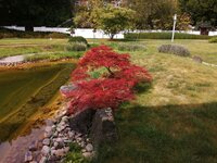 IMG_20250706_103806.jpg