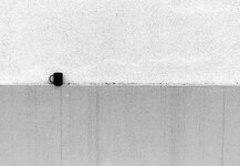 cup_edited_minimalism.jpg