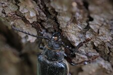 NTCA8060_jiw.jpg