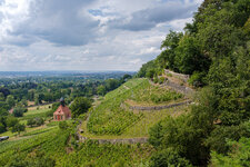 2025-07-13 14-23-08 Pillnitzer Weinberge.jpg