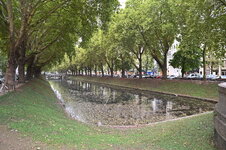 DSC_5507.JPG