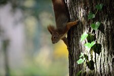 comp_DSC_2410.jpg