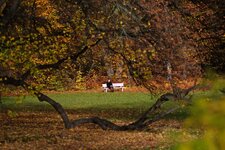 DSC_8630_DxO.jpg