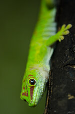 DSC_3783.jpg