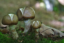 DSC_833_2_scaled.jpg