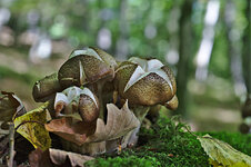 DSC_840_2_scaled.jpg