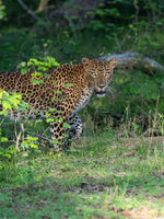 20250314_161256-3-Bearbeitet2.jpg