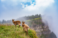 Z63_9057-Bearbeitet.jpg