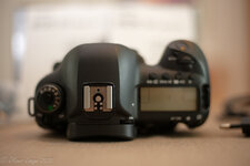 5D_IV_2025-8.jpg