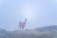 Z63_9687-Bearbeitet-2-Bearbeitet.jpg