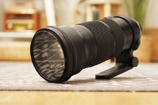 Sigma 120-300 (5).jpg