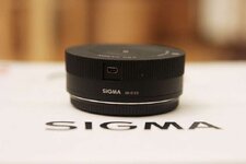 Sigma 120-300 (9).jpg