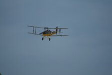 TigerMoth1.jpeg