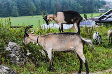 IMG_9517.jpeg