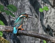 c_DSC_6906.jpg