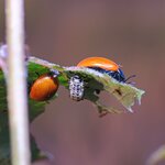 NTCA0602_jiw5.jpg