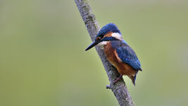 DSC_0862_ebv4.jpg