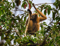Z8D_5380-Enhanced-NR-Bearbeitet-Bearbeitet.jpg