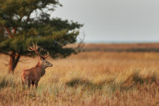 1DX_3204.jpg