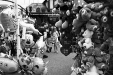 _MG_0077.JPG