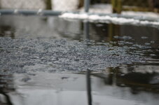 Schnee auf Trampolin.jpg