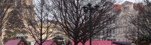 P1000092_crop.JPG