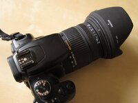 IMG_8080.jpg