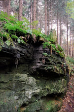 elbsandstein_11.jpg