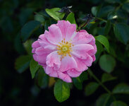 R52A0189.jpg
