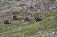 comp_Norwegen 2016-9826.jpg