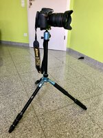 IMG_9781.jpeg