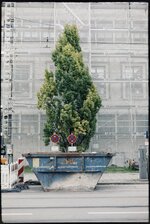 25-09-08_7_18.33.jpg 25-09-08_7_18.33.jpg