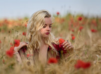 R6A22520.jpg R6A22520.jpg