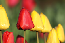 IMG_1084a.png