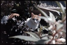 25-09-10_4.jpg 25-09-10_4.jpg