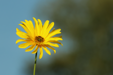 IMG_8358a.png