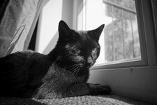 A7C08399_10MP.jpg